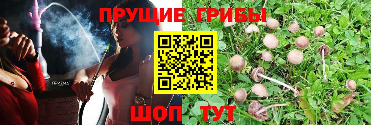 Галлюциногенные грибы мицелий Чехов